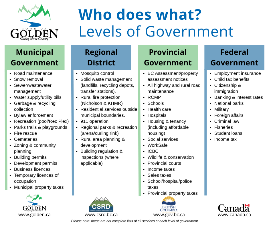 infographic listing who does what at each level of government