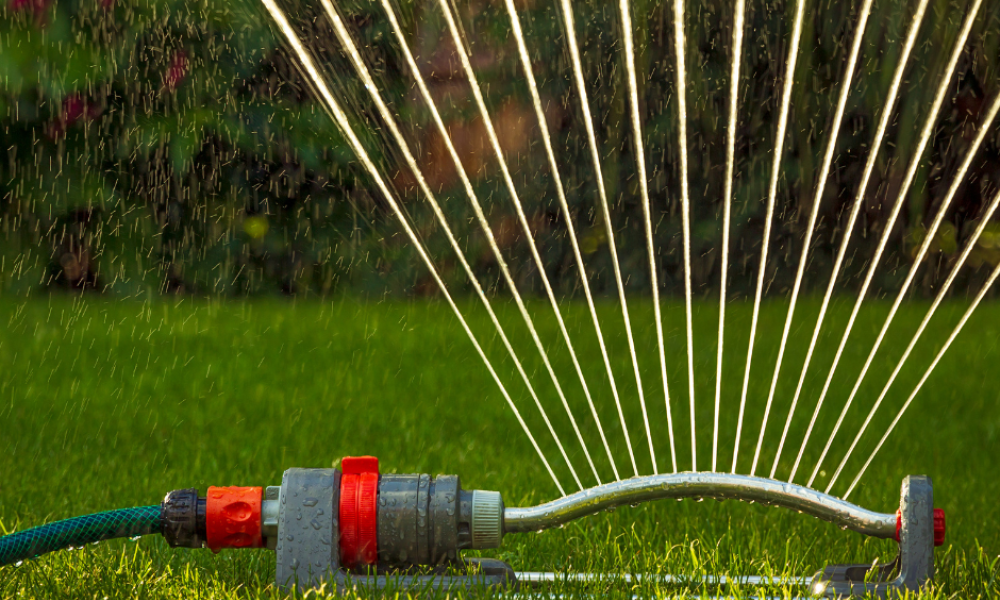 Sprinkler watering green grass