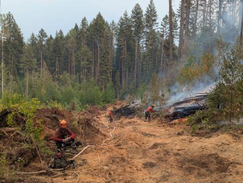 Crew members working along machine guard on Dogtooth FSR wildfire
