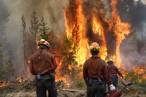 BC Wildfire crew members observing planned ignition